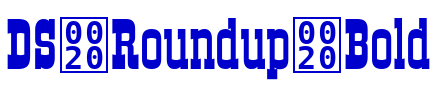 DS Roundup Bold Schriftart